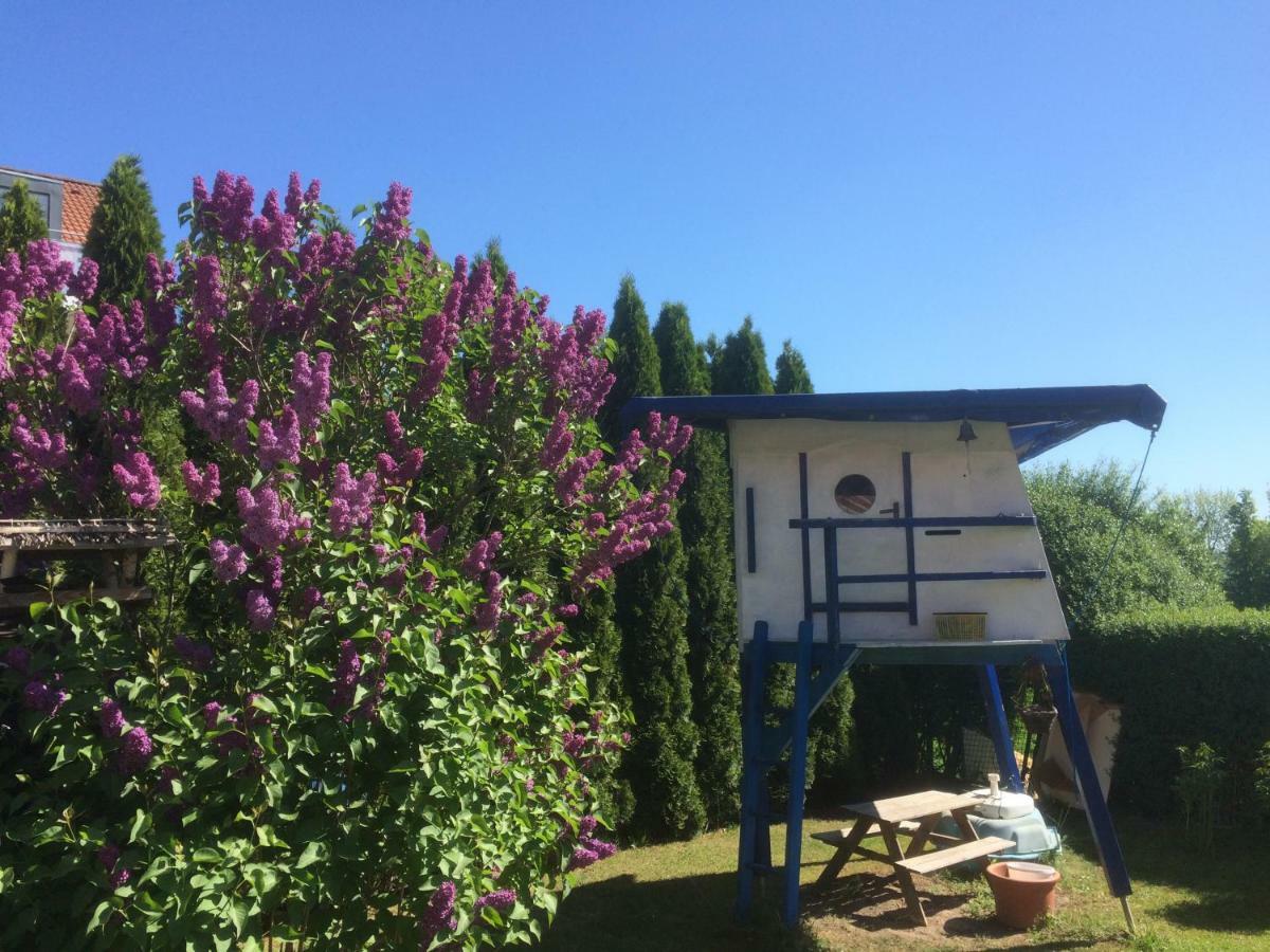 皮尔纳Haus Sonnenstein别墅 外观 照片